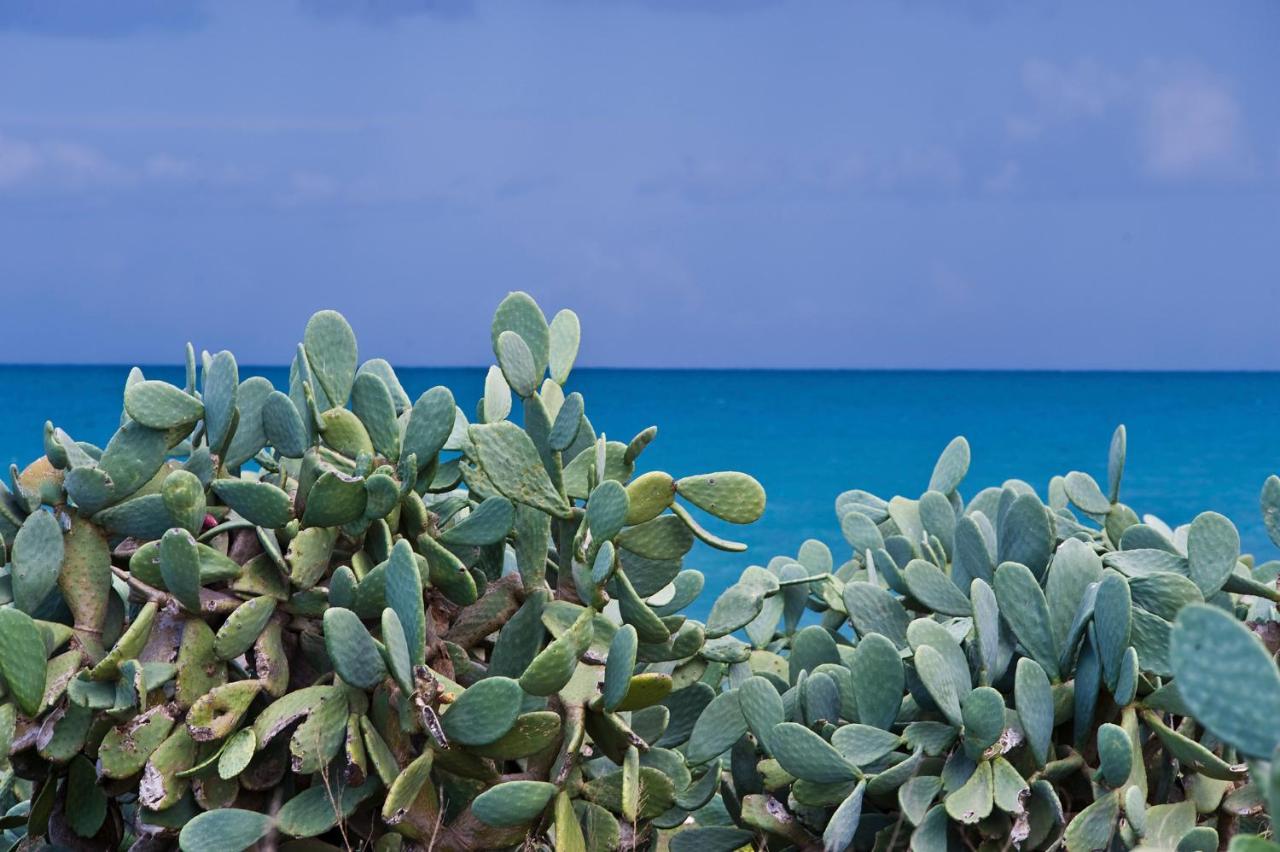 La Terrazza Di Puglia Lägenhet Conversano Exteriör bild